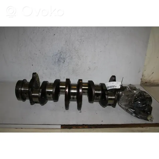 Fiat Ducato Crankshaft 