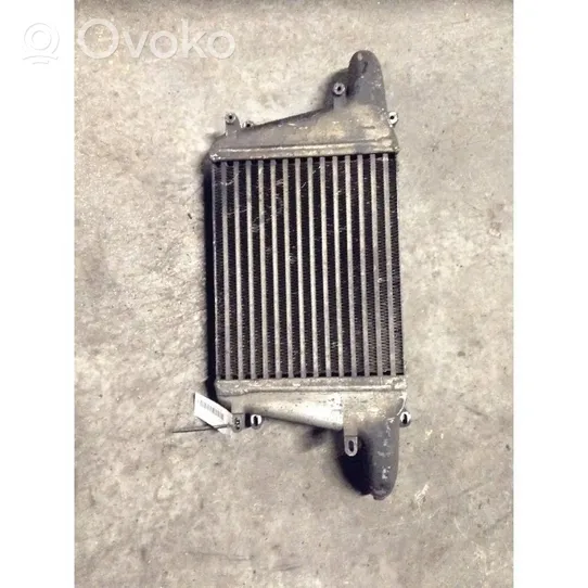 Nissan Atleon Chłodnica powietrza doładowującego / Intercooler 