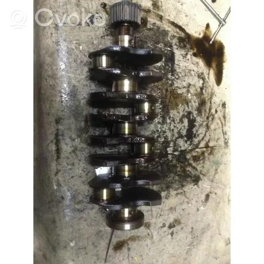 Fiat Punto (188) Crankshaft 