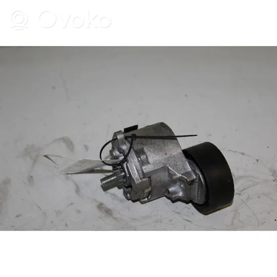 Fiat Doblo Tendicinghia generatore/alternatore 