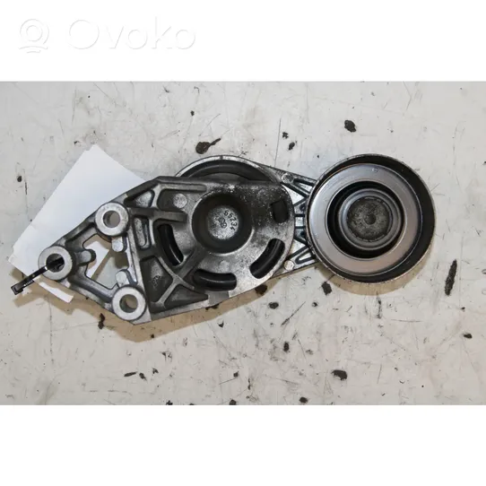 Skoda Fabia Mk1 (6Y) Tendicinghia generatore/alternatore 