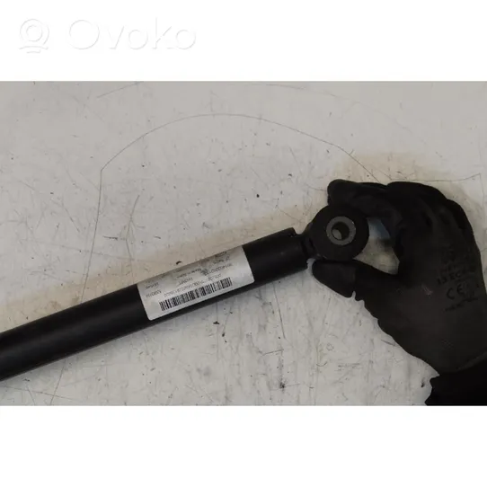 Fiat 500L Rear shock absorber with coil spring 