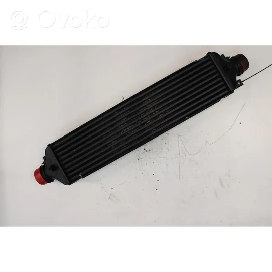 Lancia Delta Intercooler radiator 