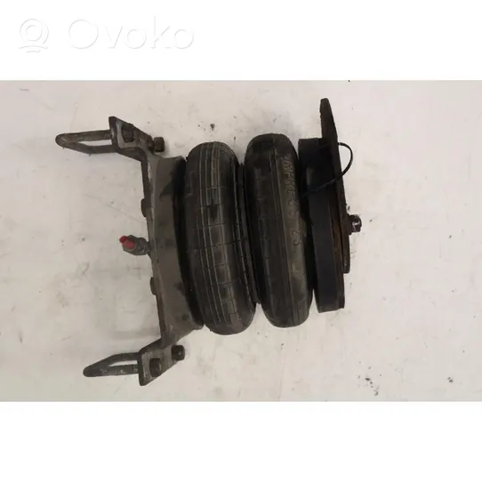 Fiat Ducato Rear shock absorber with coil spring 