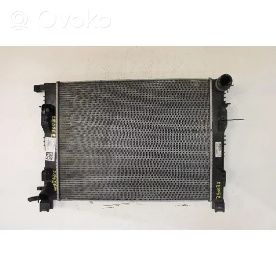 Dacia Sandero Heater blower radiator 