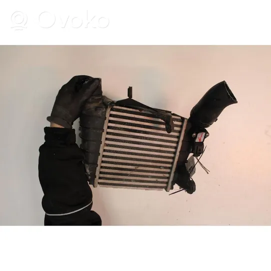 Volkswagen Polo IV 9N3 Radiatore intercooler 