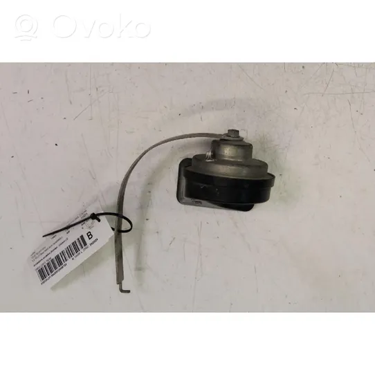 BMW X5 E70 Horn signal 