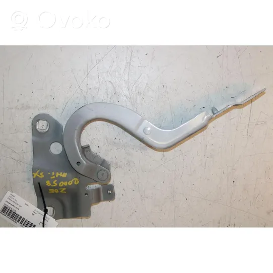 Renault Zoe Engine bonnet/hood hinges 