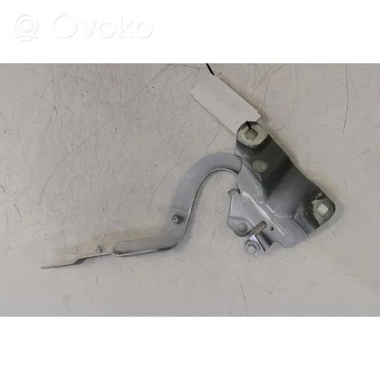 Renault Zoe Engine bonnet/hood hinges 