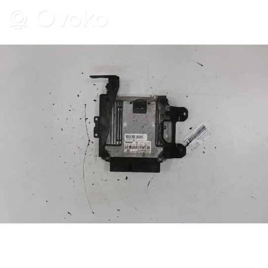 Hyundai Santa Fe Fuel injection control unit/module 