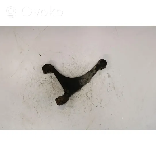 Hyundai Santa Fe Rear control arm 