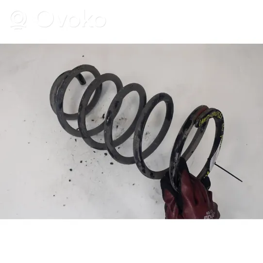 Toyota Land Cruiser (J120) Rear coil spring 