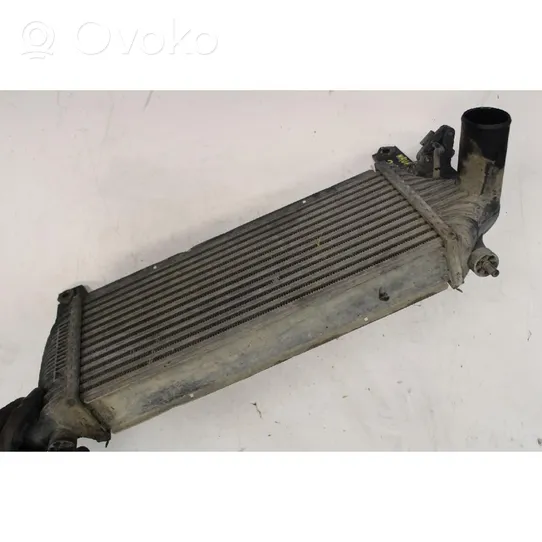 Nissan Navara D40 Chłodnica powietrza doładowującego / Intercooler 