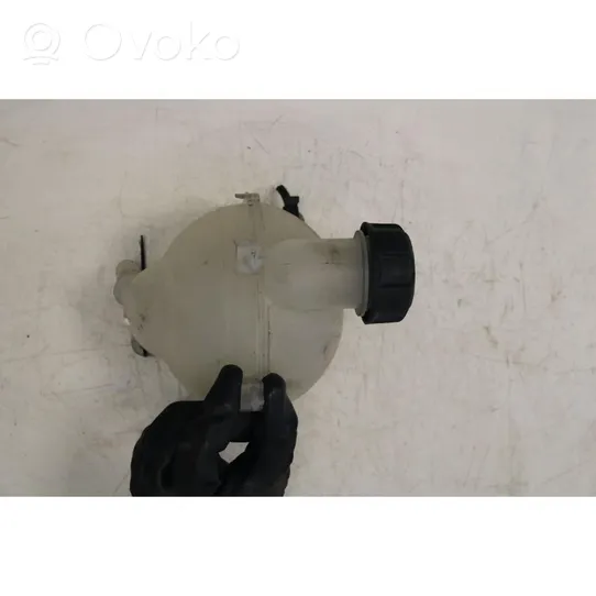 Citroen DS4 Jäähdytysnesteen paisuntasäiliö 