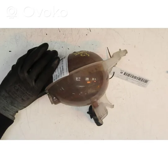 Citroen C3 Serbatoio di compensazione del liquido refrigerante/vaschetta 
