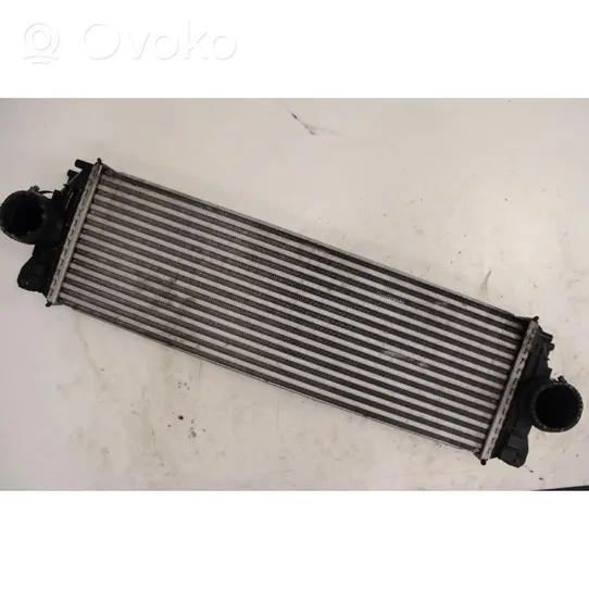 Mercedes-Benz Sprinter W906 Radiatore intercooler 