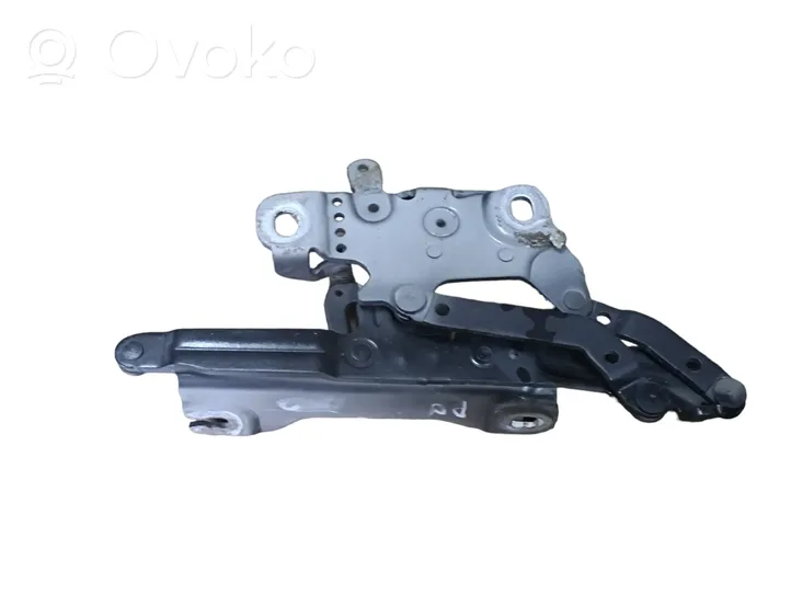 BMW 1 F20 F21 Cerniere del vano motore/cofano 7239416