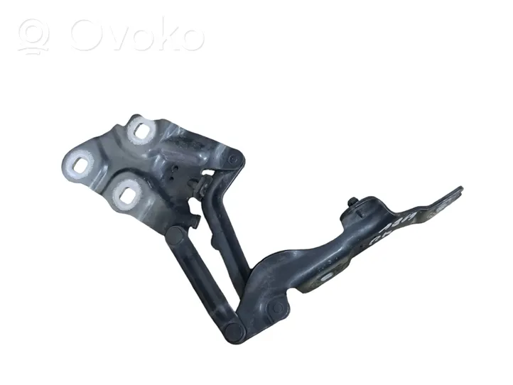 BMW X3 F25 Cerniere del vano motore/cofano 7210729