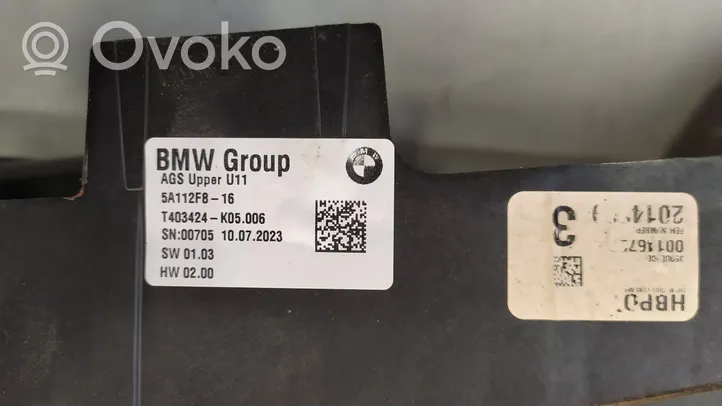 BMW X1 E84 Radiatoriaus oro nukreipėjas (-ai) T403222