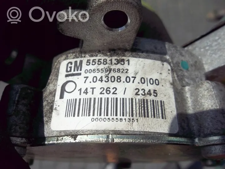 Opel Zafira C Vacuum pump 55581331