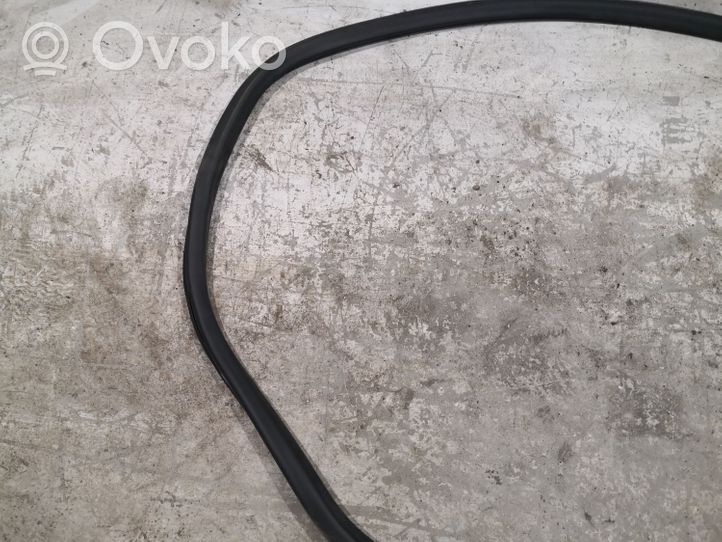 Volkswagen PASSAT B7 Rear door rubber seal (on body) 3C9867913B