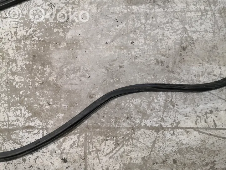 Audi A4 S4 B8 8K Front door rubber seal 8K0831721E