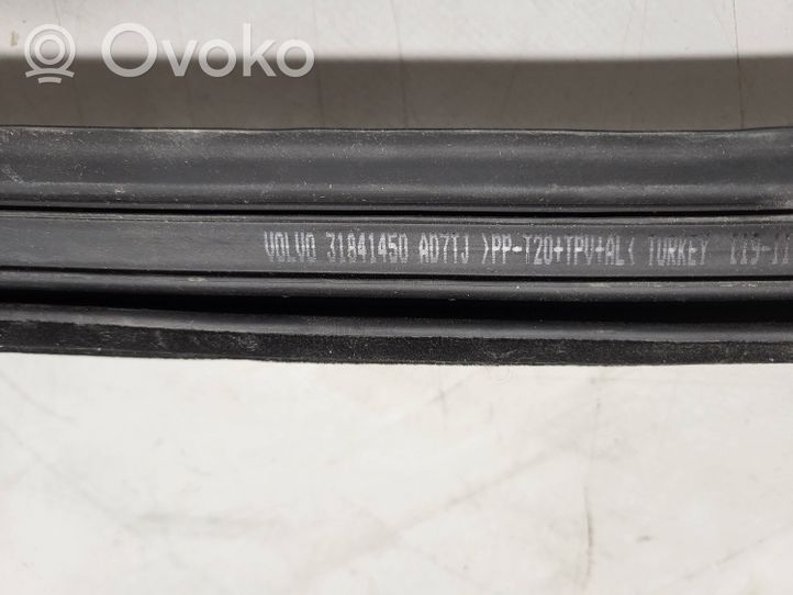 Volvo XC90 Uszczelka szyby drzwi przednich 31841450