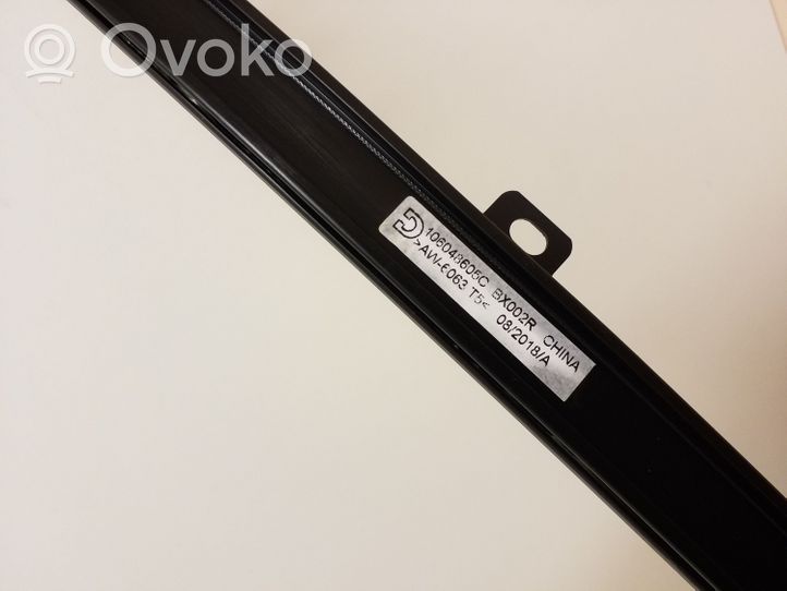 BMW X7 G07 Tendina/parasole del finestrino della portiera posteriore 106048605C