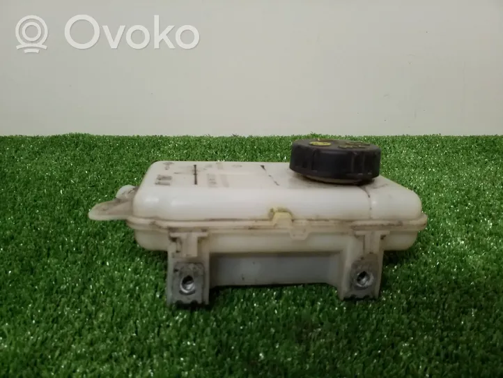 Opel Vivaro Zbiornik płynu hamulcowego 480913647R