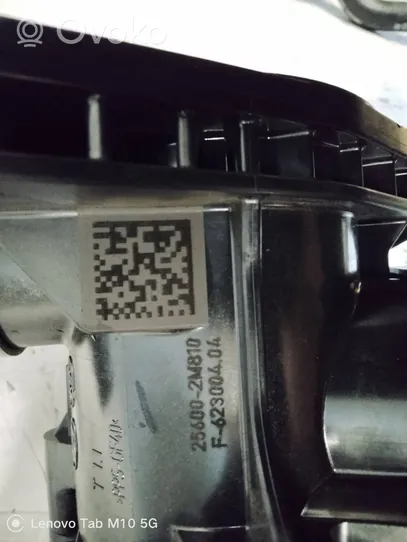 Hyundai Tucson IV NX4 Termostat EGR 256002M810