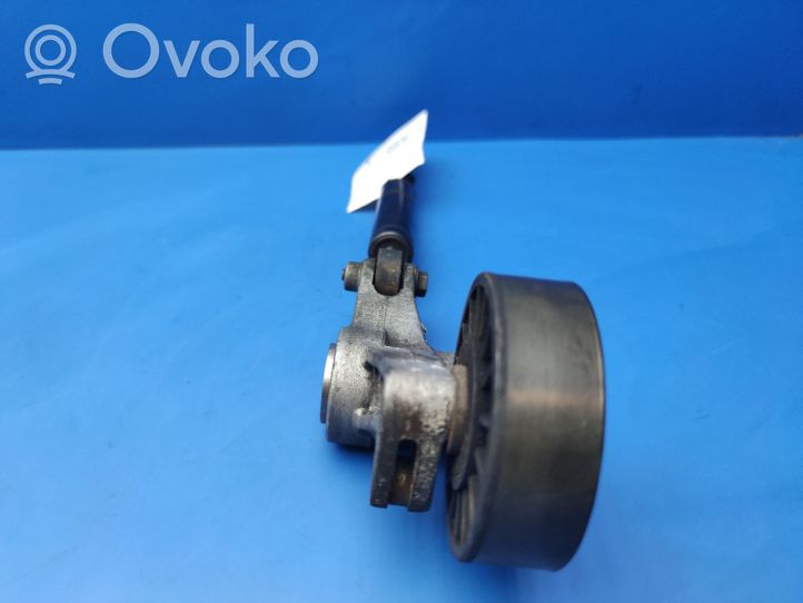 Mercedes-Benz S W140 Tensor de correa del alternador 6062020028