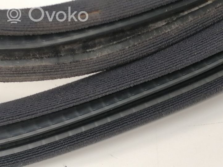 Mercedes-Benz C W203 Rear door rubber seal (on body) A2036972551