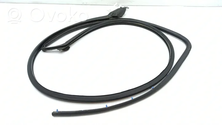 Cadillac SRX Front door rubber seal 