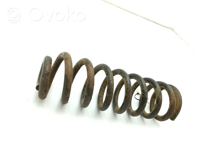 Cadillac SRX Rear coil spring 1035652