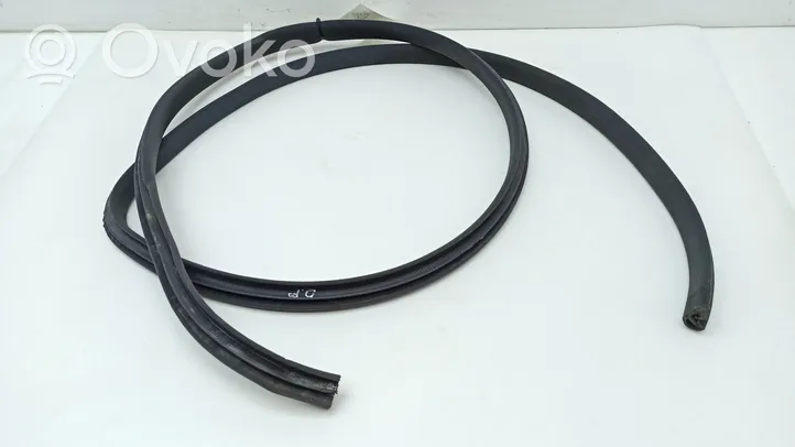 Lexus LS 430 Front door rubber seal 