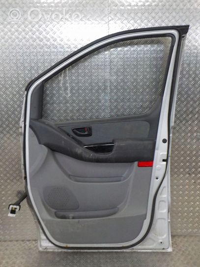 Hyundai H-1, Starex, Satellite Priekinės durys 