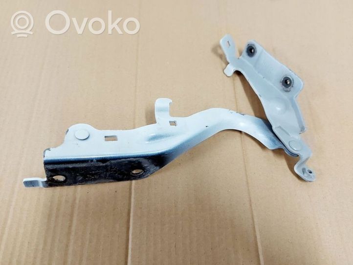 Infiniti QX50 (J55) Engine bonnet/hood hinges 