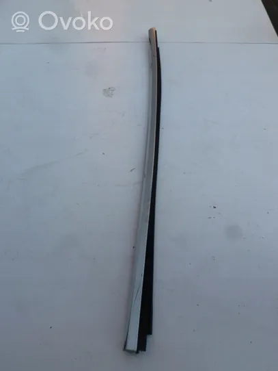 Tesla Model X Etuoven lasin muotolista 103217300D