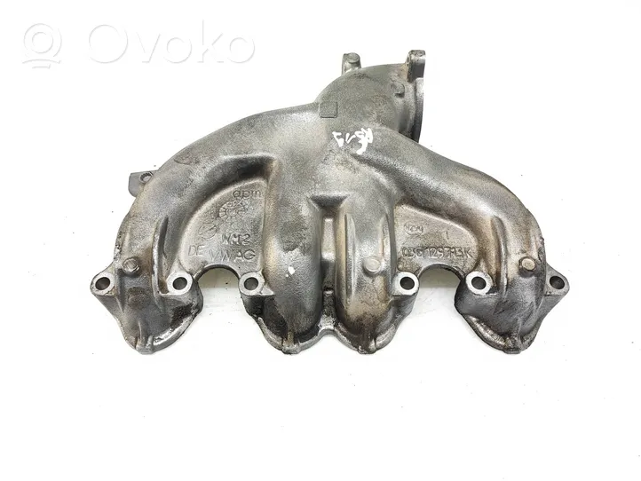 Volkswagen Caddy Intake manifold 03G129713K