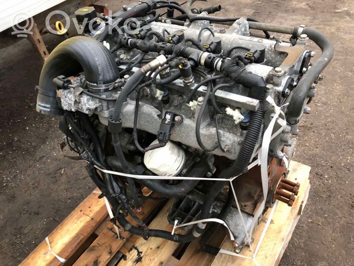 Iveco Daily 35.8 - 9 Moteur 504145196