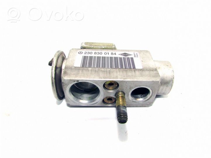 Mercedes-Benz C W203 Air conditioning (A/C) expansion valve 