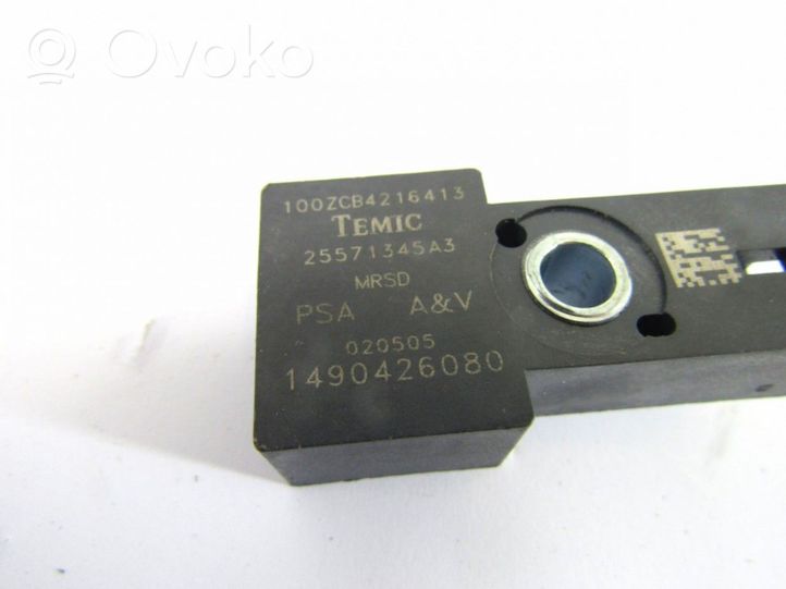 Peugeot 1007 Airbagsensor Crashsensor Drucksensor 