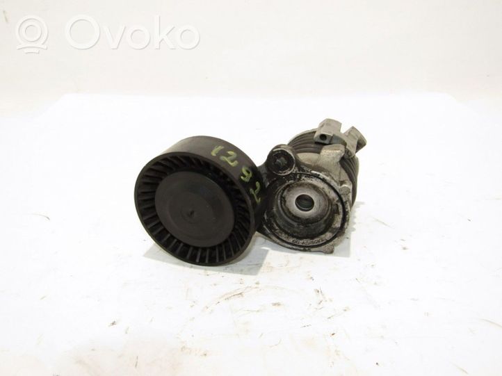 Volkswagen Polo IV 9N3 Alternator belt tensioner 