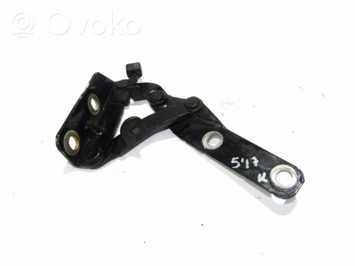 Volkswagen Lupo Engine bonnet/hood hinges 