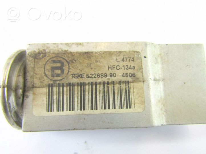 Skoda Roomster (5J) Air conditioning (A/C) expansion valve 