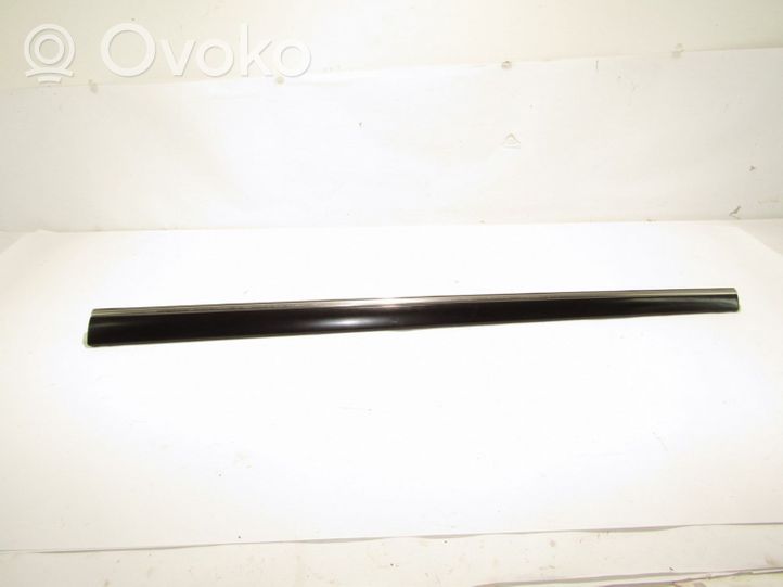 Mercedes-Benz S W220 Front door trim (molding) 