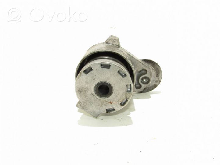 Renault Megane II Napinacz paska wielorowkowego / Alternatora 