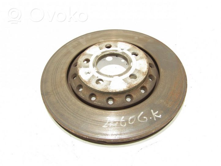 Volkswagen Phaeton Rear brake disc 