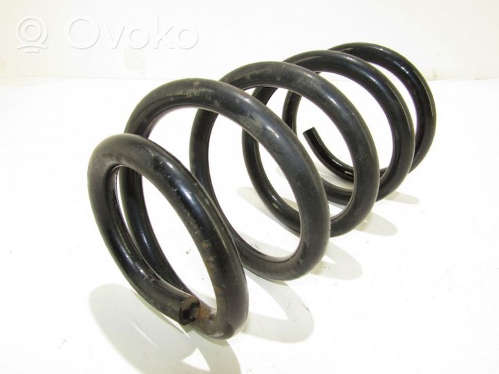 Hyundai Santa Fe Rear coil spring 