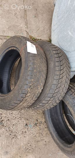 Ford Fiesta R14 winter tire 